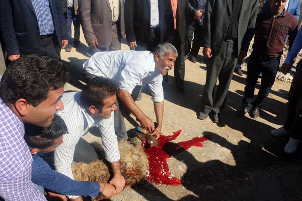 Bostan-(3)