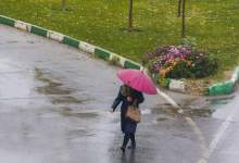 سامانه بارشی در راه کهگیلویه و بویراحمد + هشدار به کشاورزان