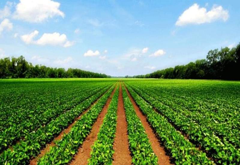تخلفات پروژه کشاورزی میلیاردی «آجم» دیشموک