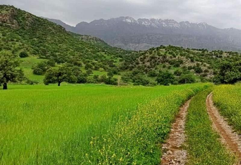 ظرفیت بی‌نظیر گردشگری کهگیلویه و بویراحمد در آتش بی‌برنامه‌گی می‌سوزد؟