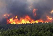 دو روز است که آتش در دیل شعله می کشد / هلی برن نیروها توسط بالگرد به ارتفاعات / مدیر تشکل سبزگامان: با کمبود نیرو مواجهیم