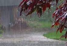 ورود سامانه بارشی به کهگیلویه و بویراحمد / بارش باران از یاسوج تا گچساران