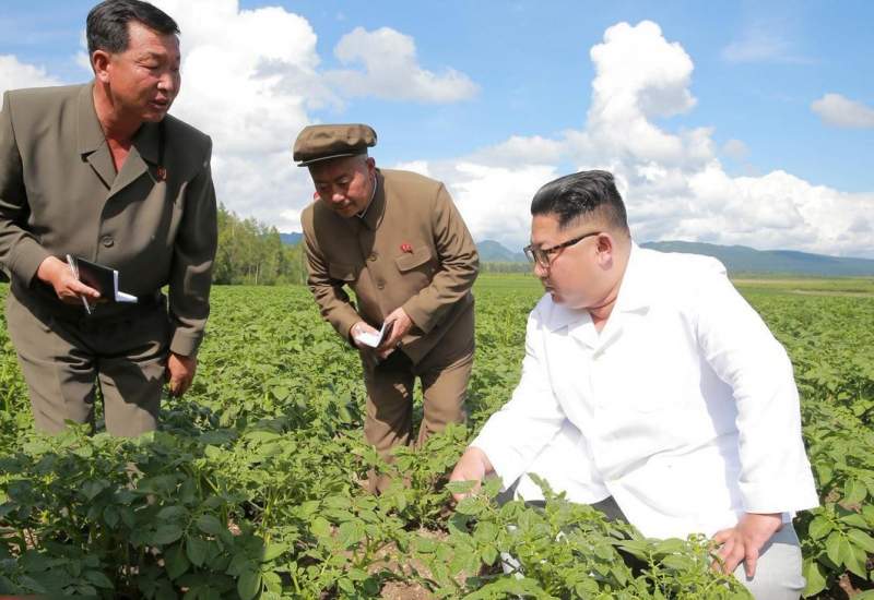 درخواست کره شمالی از مردم برای تولید کود از مدفوع خود!