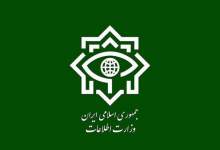 وزارت اطلاعات: ۶ نفر از عوامل پشتیبانی تیم تروریستی در شیراز دستگیر شدند  <img src="/images/video_icon.png" width="11" height="10" border="0" align="top">