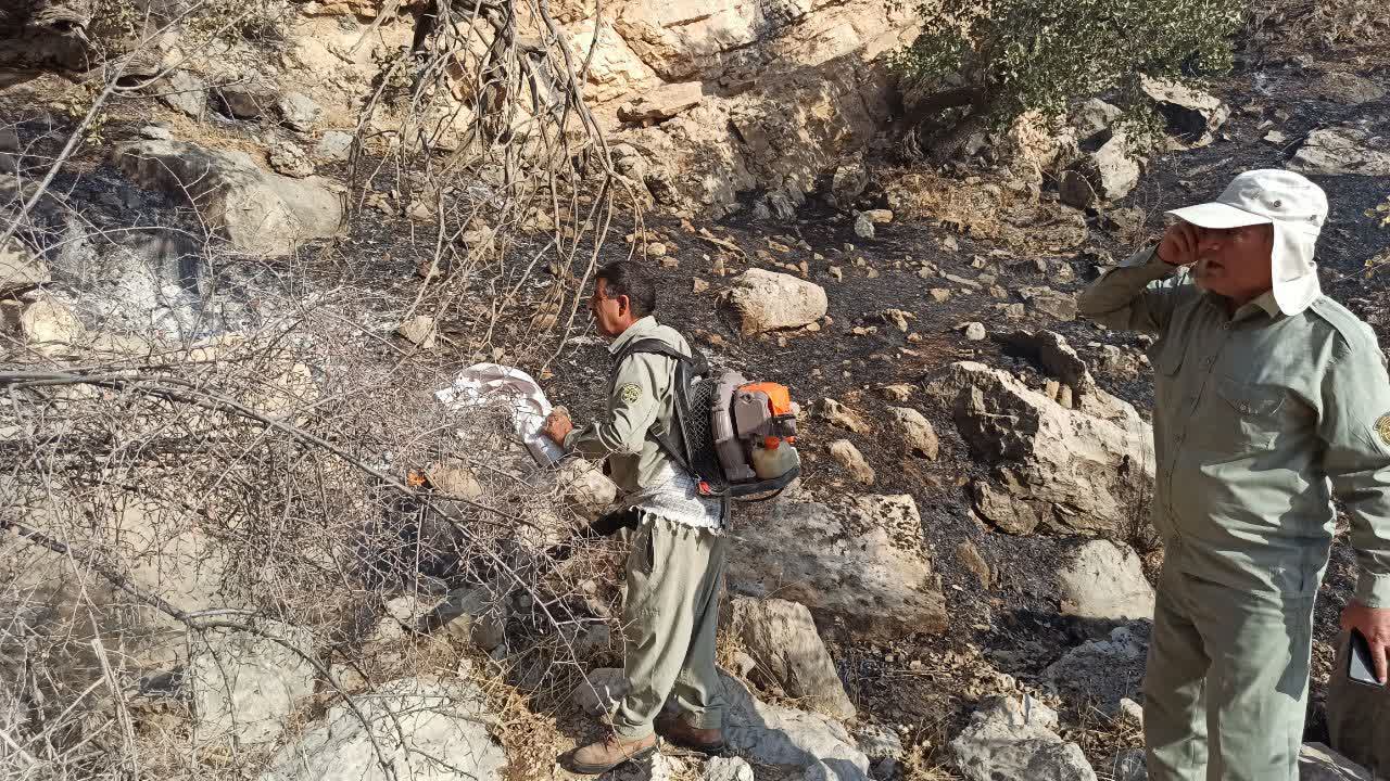 کوه‌های مناطق آزاد شهرستان گچساران در آتش سوخت (+  تصاویر )