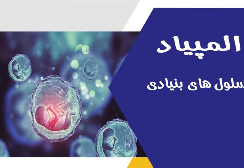 مدال‌آوری دانش آموز کهگیلویه و بویراحمدی در مسابقات سلول های بنیادی