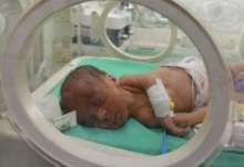 (ویدئو) کمبود شیر خشک و پوشک در غزه نوزادان را می‌کشد