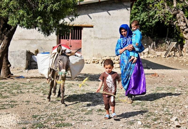 ۱۰۴ روستای دیشموک نیازمند اجرای طرح هادی روستایی