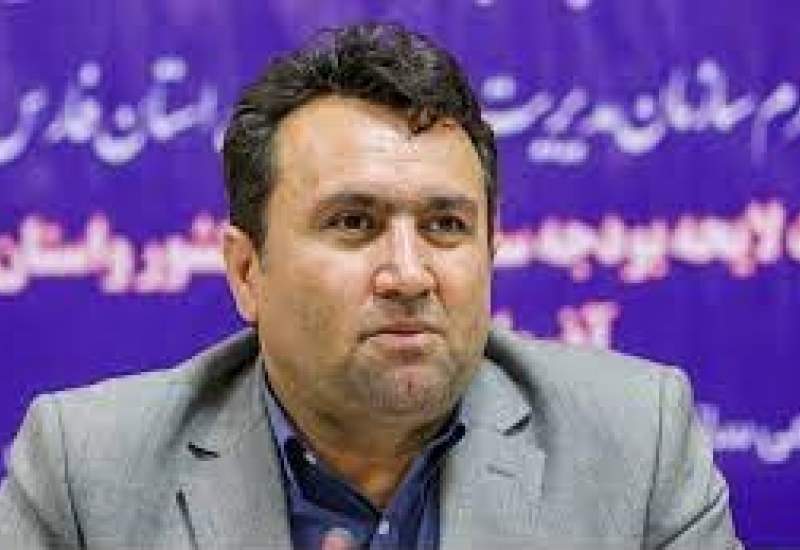 حسن نوروزی رئیس سازمان هدفمندسازی یارانه‌ها شد