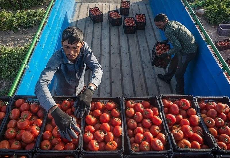 بلوای خیار و گوجه‌فرنگی در بازار!