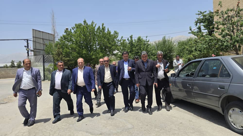 تولید آرد بلوط راهکاری برای کاهش واردات گندم