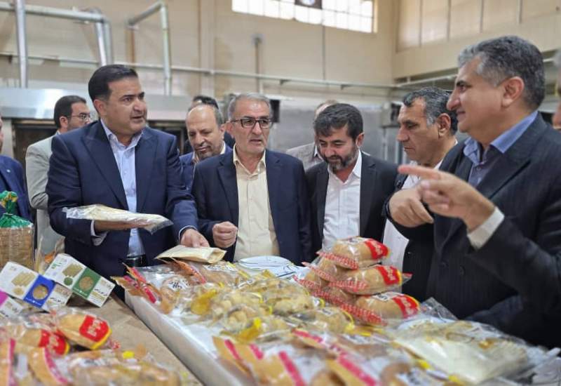 تولید آرد بلوط راهکاری برای کاهش واردات گندم