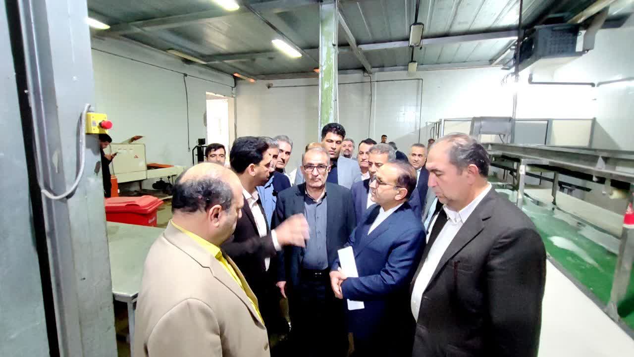 کشتارگاه صنعتی یاسوج؛ ظرفیت بزرگ، بهرهبرداری حداقلی! / چرا تنها ۱۵ درصد ظرفیت کشتارگاه یاسوج فعال است؟
