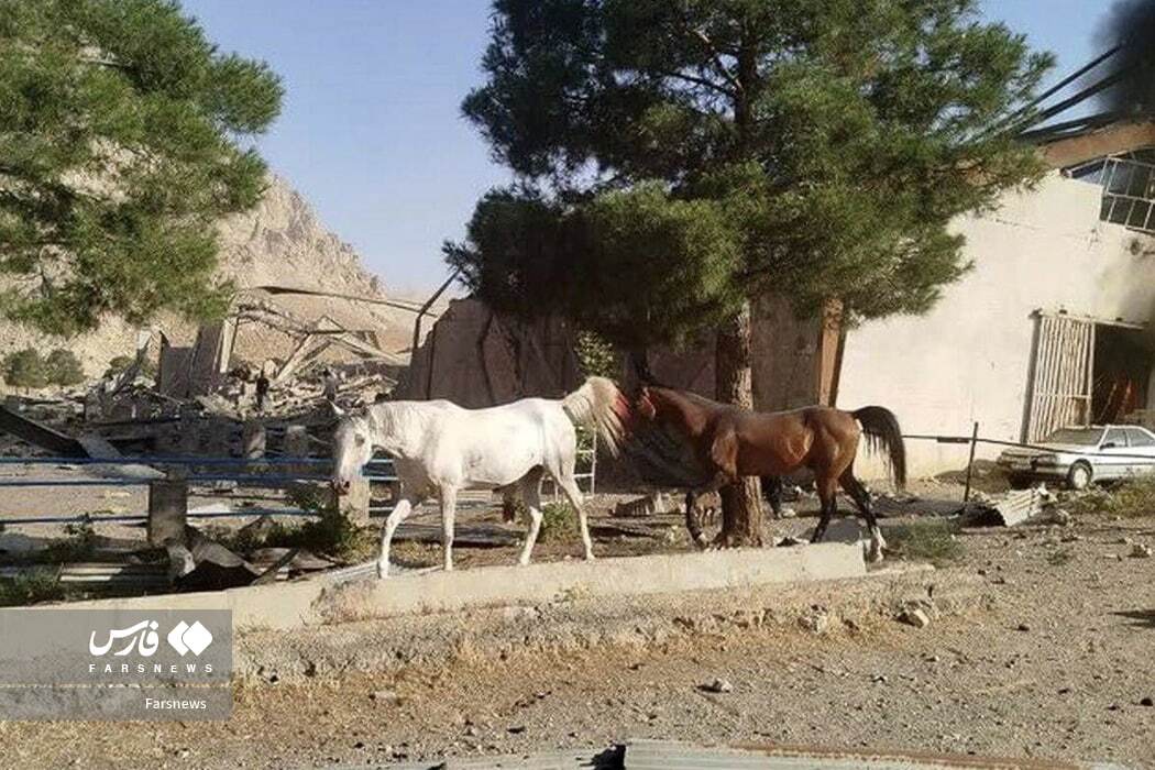 حمله اسرائیل به ۲ اصطبل پرورش اسب در کرمانشاه
