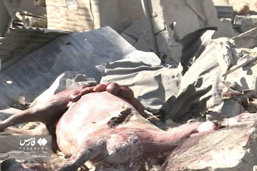 حمله اسرائیل به ۲ اصطبل پرورش اسب در کرمانشاه