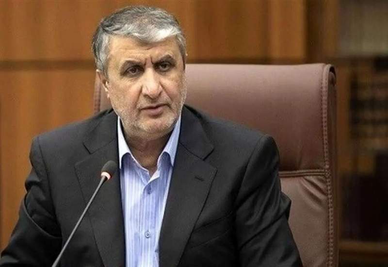 رئیس سازمان انرژی اتمی: در صورت توافق در مذاکرات، در پذیرش بازرس‌های آمریکایی از طریق آژانس، تجدید نظر می‌کنیم