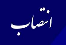 معرفی معاون فرمانداری باشت