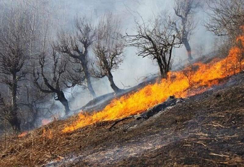 آتش‌سوزی در مناطق مختلف کهگیلویه و بویراحمد