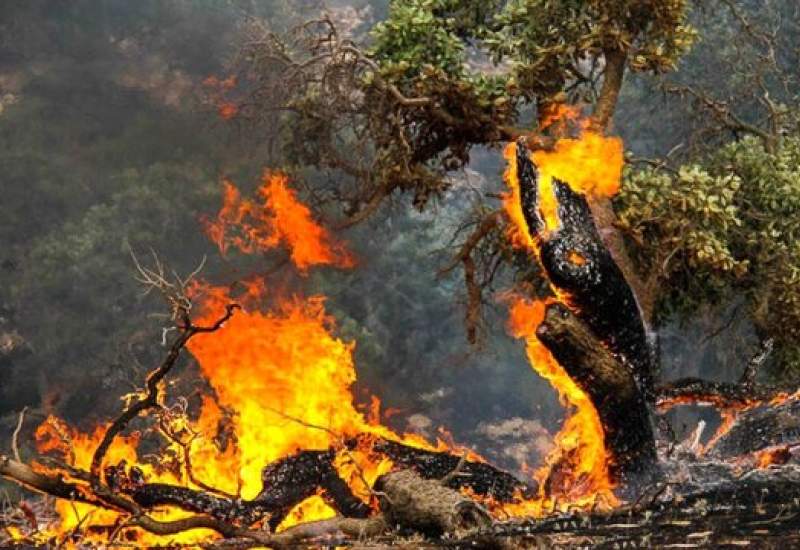 آتش‌سوزی هم‌زمان در چهار منطقه جنگلی بویراحمد / مانورهای نمایشی یا مدیریت واقعی؟ چرا خودروهای ستاد بحران در آتش‌سوزی به کار نمی‌روند؟ / چرا استان کهگیلویه و بویراحمد هنوز بالگرد اطفای حریق ندارد؟