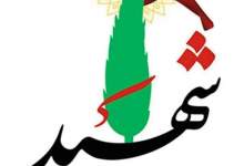 شهادت دانشمند هسته‌ای و همسرش