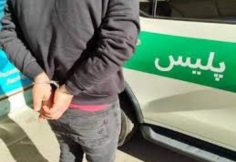 دستگیری دو نفر متهم متواری و تحت تعقیب در کهگیلویه