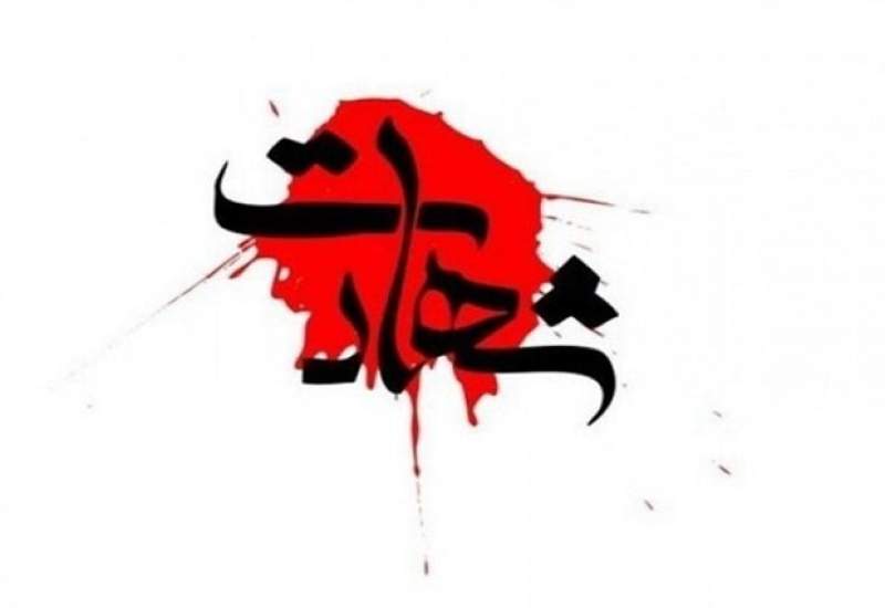 فیلم| نوحه‌خوانی فرزند شهید میثم فتح قریب بر بالین پدر