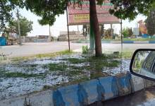 آبیاری فضای سبز دهدشت با روش‌هایی ماقبل سنتی؛ خدمتی نوین از شهرداری دهدشت-غرق‌آبی آسفالت برای کاهش دمای خیابان!