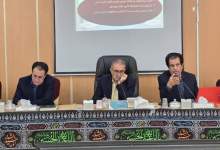 شاهینی: چابک‌سازی دولت از شعار خارج شده؛ وقت اقدام است