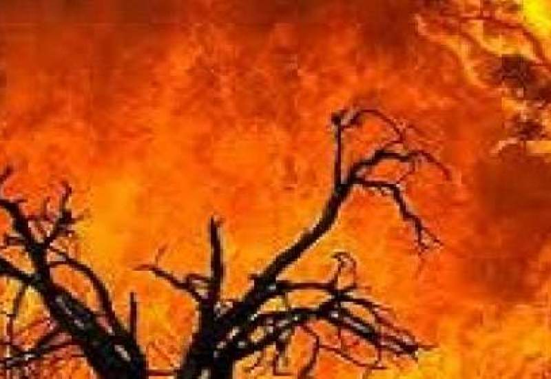 فیلم | آتش‌سوزی گسترده در جنگل‌های بلوط دیل و آرو