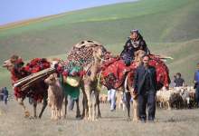 درخواست پنل خورشیدی و چادر؛ مطالبه جدی عشایر دوخر و تنگ سلو بهمئی از مسئولان استان کهگیلویه و بویراحمد  <img src="/images/video_icon.png" width="11" height="10" border="0" align="top">