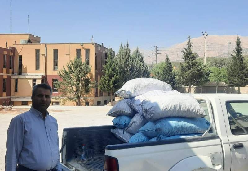 جریمه سنگین برای متخلف قاچاق چوب در بویراحمد