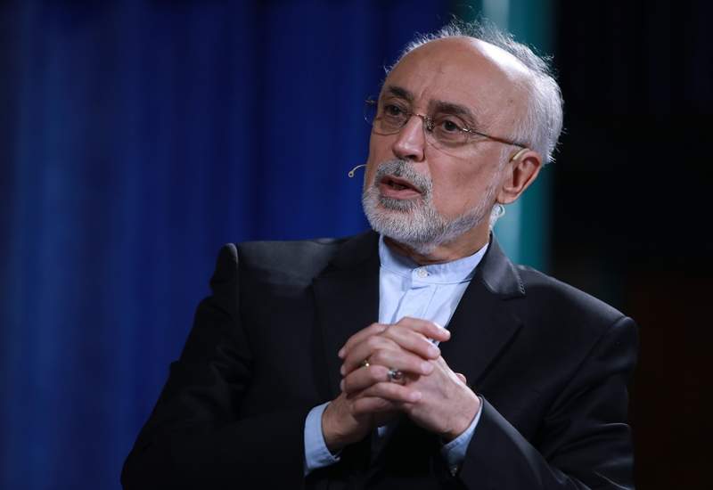 علی اکبر صالحی: اقداماتی مثل طرح خروج از NPT در مجلس می تواند مشکلات دیپلماسی ما را پیچیده‌تر کند / بحث خروج از NPT فقط در حیطه اختیارات رهبری است / مجلس نمی‌تواند در چنین اموری بدون استفسار از رهبری نظر خود را بیان کند