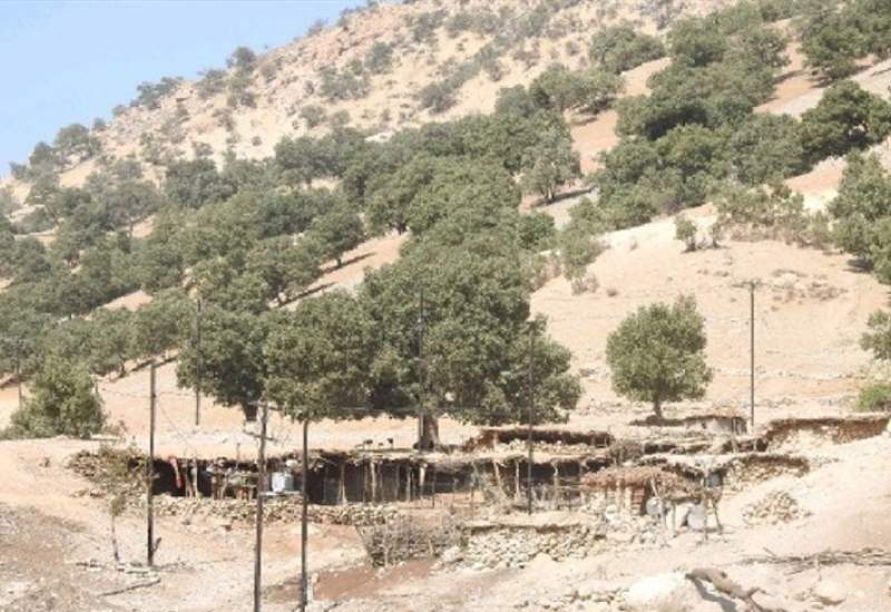 پیچاب باشت؛ سرزمین فراموش‌شده / بدون جاده مناسب، خدمات درمانی، آموزشی و آب پایدار / کیفیت زندگی 500 نفر زیر استانداردهای مرسوم / اهالی روستا: به خاطر کیفیت پایین آب به بیماری کلیوی مبتلا شده‌ایم