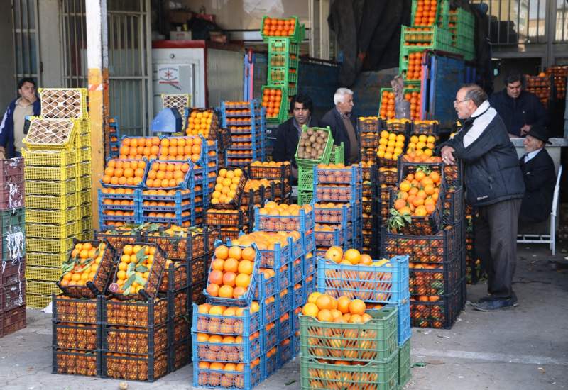میدان میوه‌وتره‌بار یاسوج و تجربه‌های چندین‌باره شکست / چرا در حالی که سرمایه‌گذار اعلام آمادگی برای احیای میدان کرده، همچنان شاهد تعلل برخی مسئولین هستیم؟ / بار سوءمدیریت و سنگ‌اندازی مافیای میوه بر گرده شهروندان یاسوجی / میوه‌ سی‌سخت به فارس می‌رود و با احتساب هزینه حمل‌ونقل و دو بار دلالی به دست مردم می‌رسد!