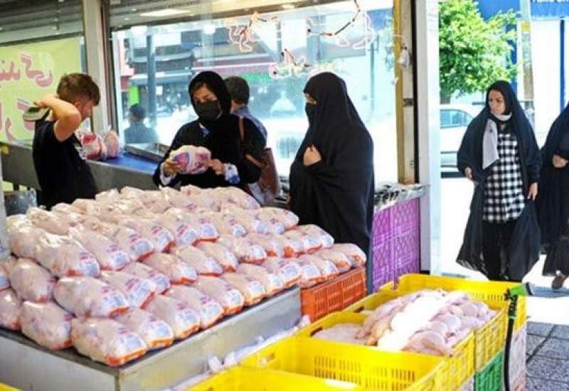 وقتی قیمت مرغ در کهگیلویه و بویراحمد از تهران هم بالاتر می‌پرد! / مرغ یک‌پا دارد؛ اما همه‌ی تدبیر مدیران را زمین‌گیر کرده است / قیمت دستوری، آفت بازار مرغ شد / دلالان در کشتارگاه‌ها فرمان می‌دهند! /جهاد کشاورزی کهگیلویه و بویراحمد کجاست؟ / مشکل کجاست؟