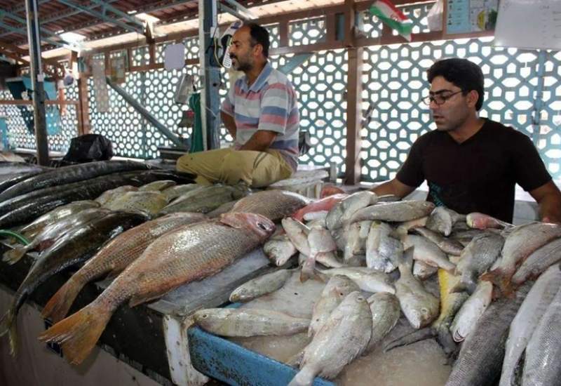 گرانی ماهی گردن قطعی برق افتاد!