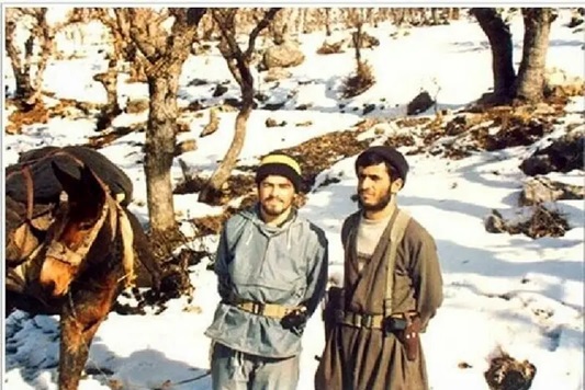 احمدی نژاد
