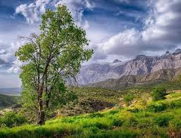 سد ماندگان کمبود آب شرب اصفهان را جبران می‌کند / هیچ ایراد و نقد زیست محیطی به سد ماندگان وارد نیست / پروسه اخذ مجوز زیست محیطی آن در حال اتمام است / وجود سد ماندگان موجب آب شدن برف‌های کوه دنا می‌شود؛ ادعایی بی‌اساس و غیرکارشناسی است